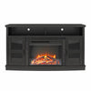 Barrow Creek Fireplace Console with Glass Doors for TVs up to 60" - Black Oak