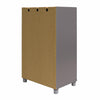 Camberly Framed 2 Door/1 Drawer Storage Cabinet, Graphite Gray - Graphite Grey