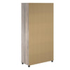 Dwyer 36" 2 Door Storage Cabinet - Gray Oak